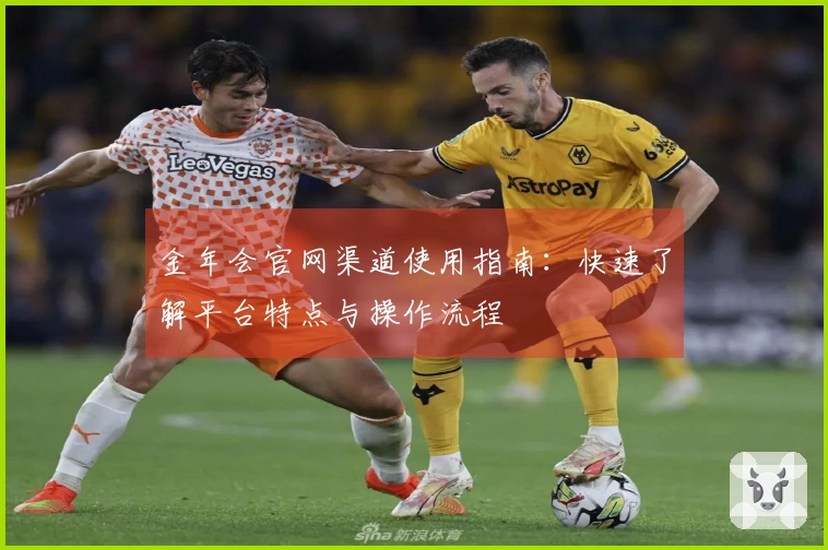 金年会官网渠道使用指南：快速了解平台特点与操作流程