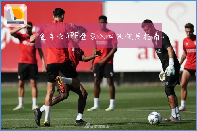 金年会APP登录入口及使用指南